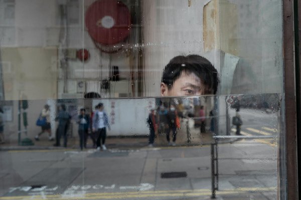 Maladie des citronniers : que faire face aux feuilles collantes ?