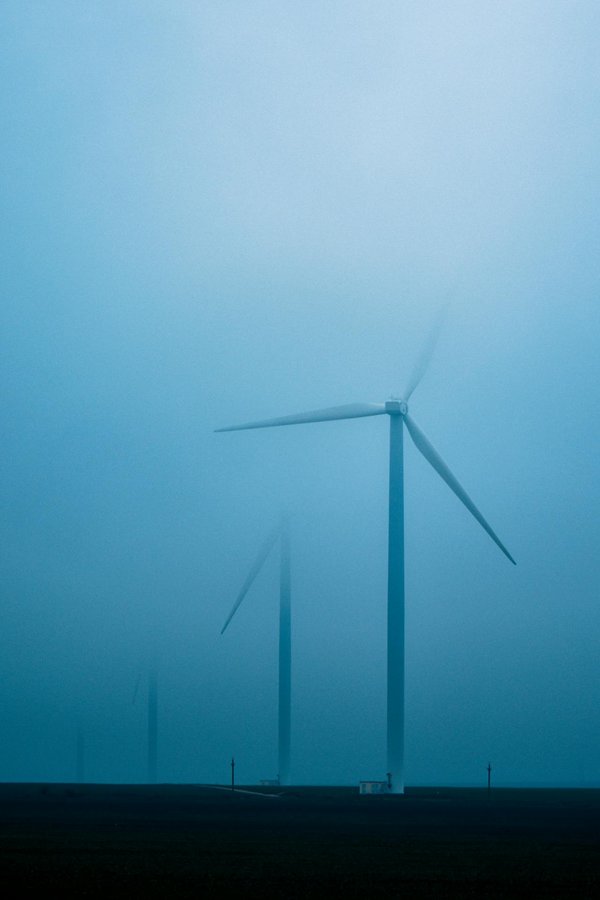 Quels sont les avantages des programmes de gestion communautaire des ressources naturelles dans les zones protégées ?